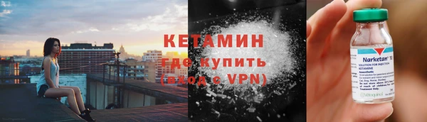 сатива Пенза
