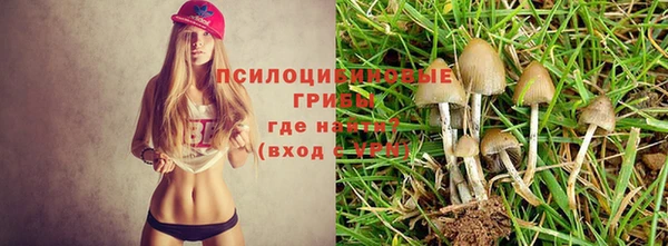 прущая мука Карталы