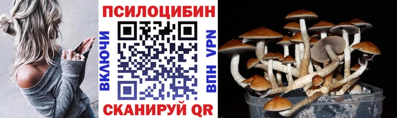 ссылка на мегу как зайти Медынь Галлюциногенные грибы Psilocybine cubensis